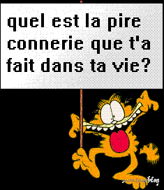 ta pire connerie