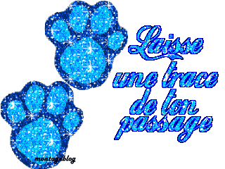 tu es qui