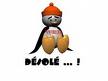 dsl pour